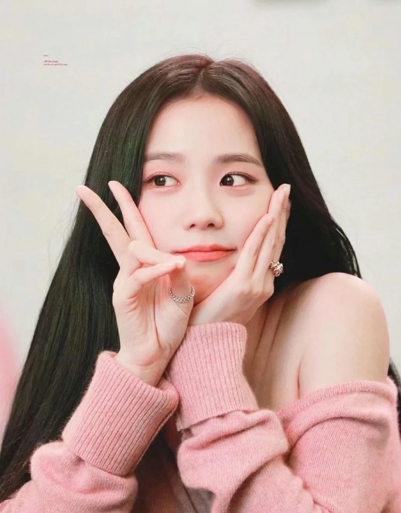 Hình ảnh Jisoo dễ thương trong concert