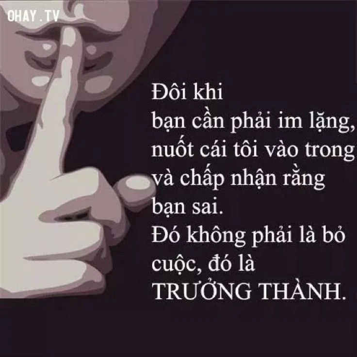 Tĩnh lặng trong nhiếp ảnh