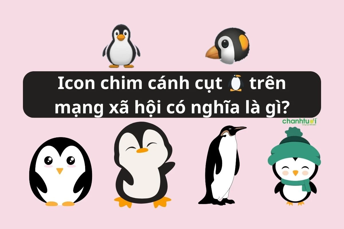 Icon Chim Cánh Cụt Tình Bạn