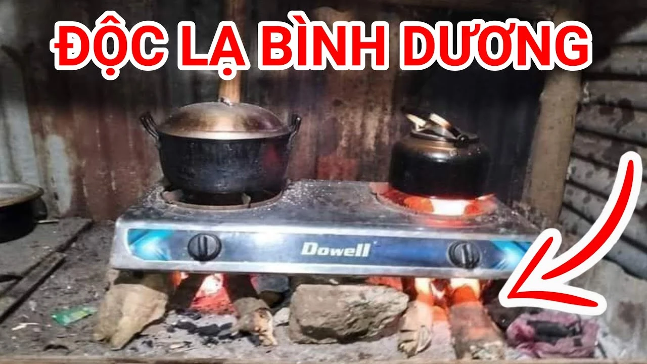 Độc lạ Bình Dương