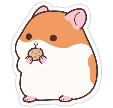 Không gian sống với nhãn dán chuột hamster