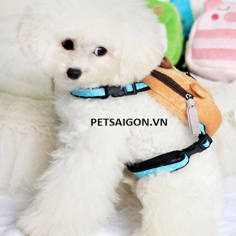 Balo thời trang cho chó Poodle