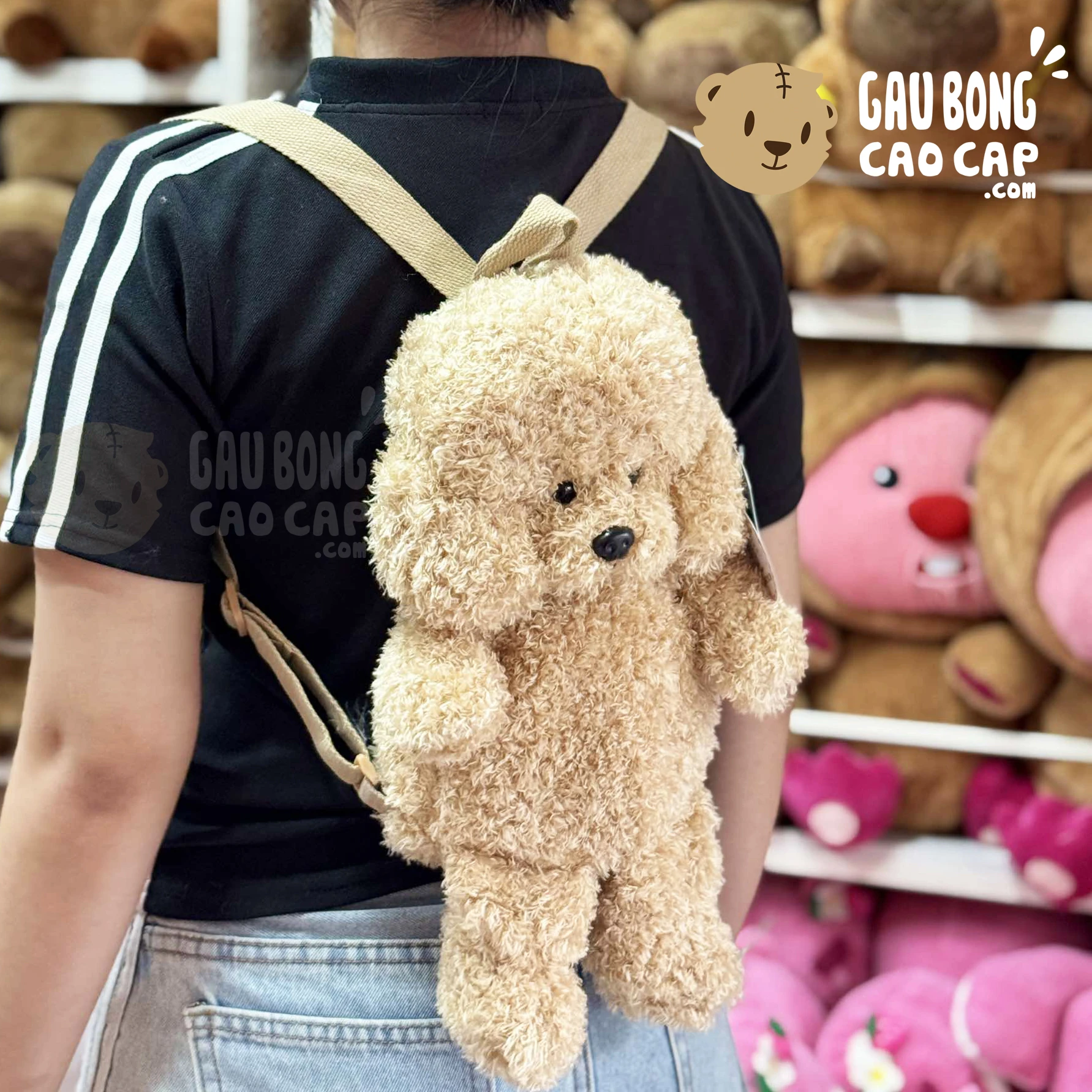 Balo tiện dụng cho chó Poodle