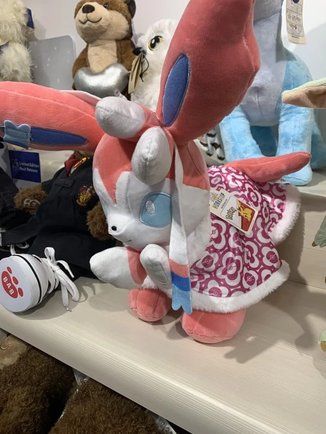 Excited fan with Sylveon