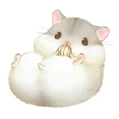 Chuột Hamster Cute 4