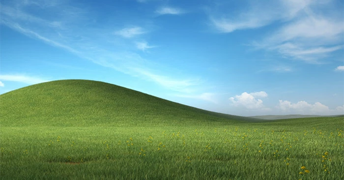 Hình nền mùa hè Windows XP