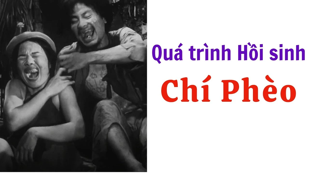 Hình minh họa 4