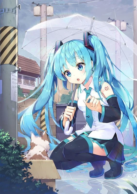 Hình ảnh 3