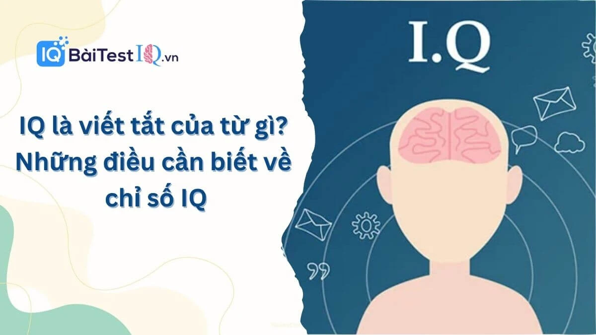 Chỉ số IQ