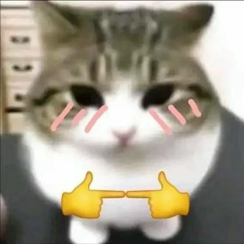 Meme mèo ngại ngùng