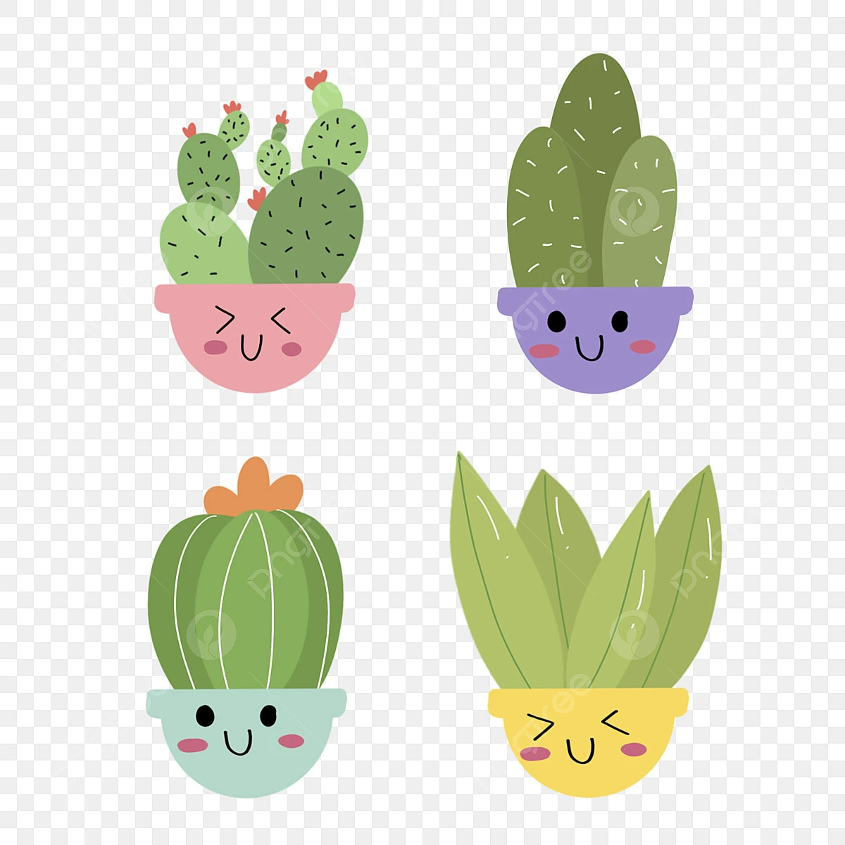 Sticker xương rồng 4