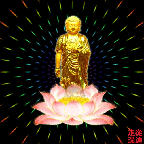 Hình ảnh động Phật 1