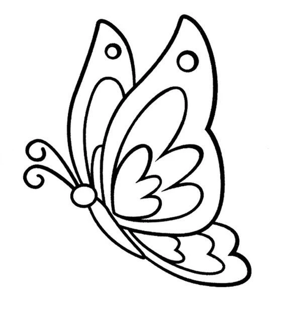 Tô màu bướm