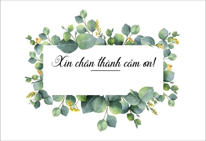 Hình ảnh kết thúc bài thuyết trình tuyệt đẹp