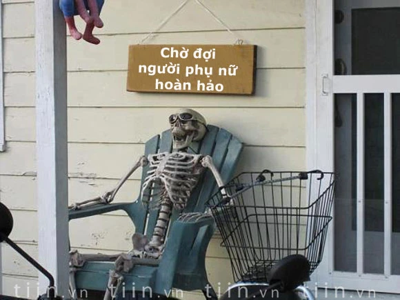 Hình ảnh chờ đợi - 3
