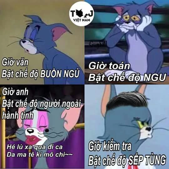 Meme châm biếm