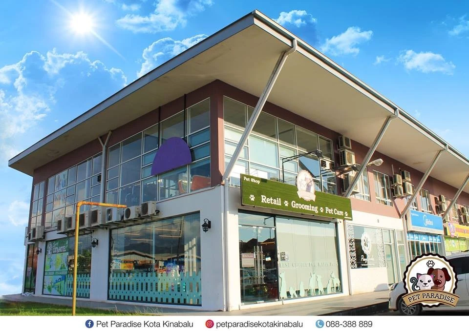 Không gian studio mèo và quán café