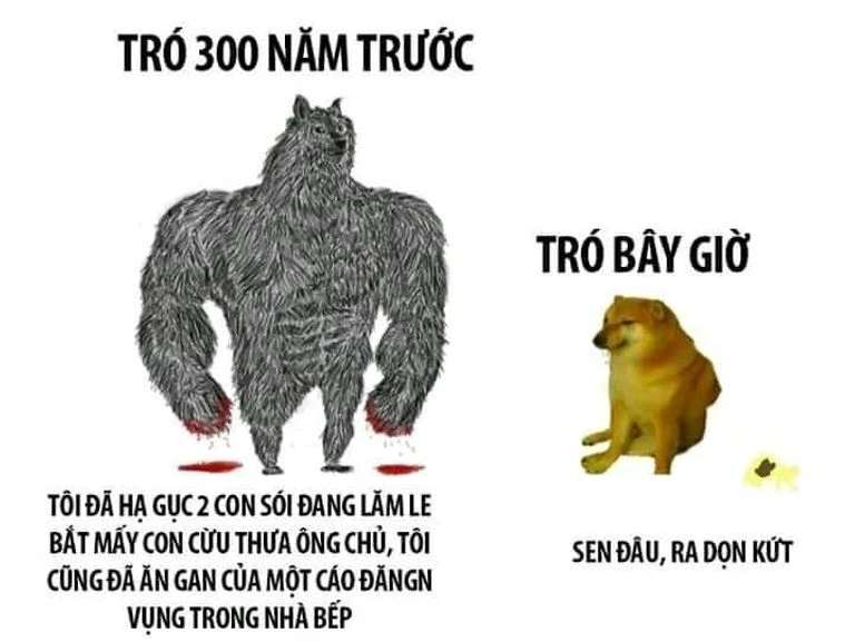 Meme Cheems trên mạng xã hội