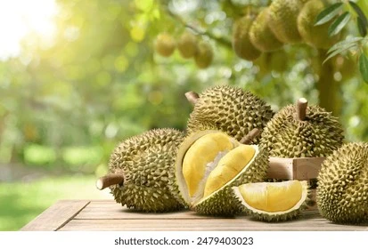 Sầu riêng trên bàn gỗ