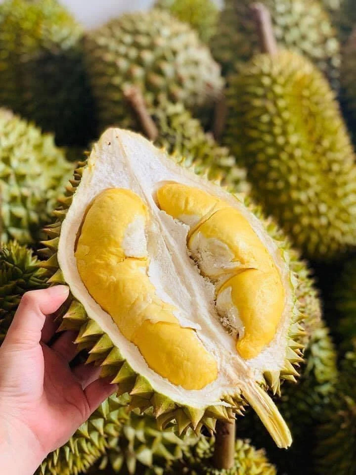 Món ăn từ sầu riêng