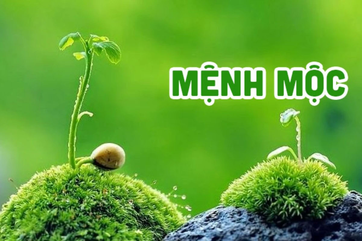 Hình nền may mắn