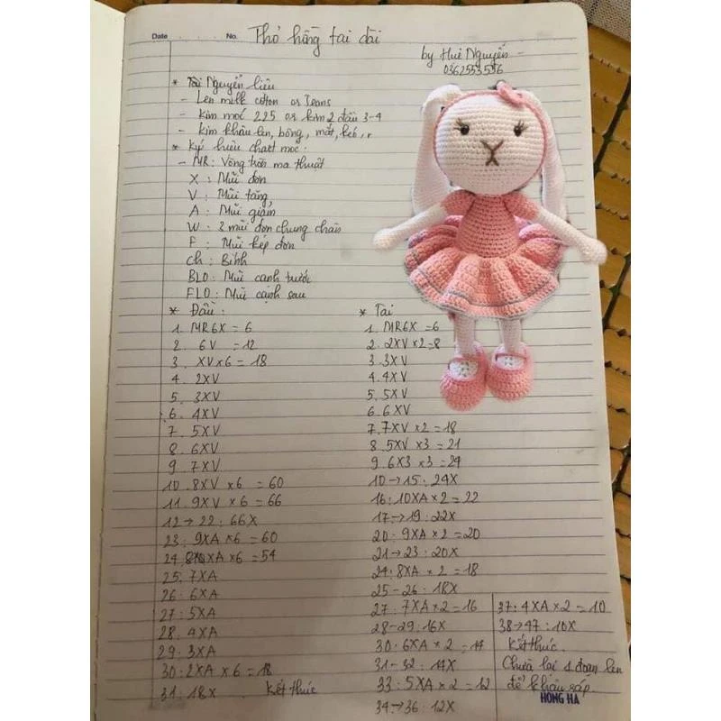 Thỏ đội mũ