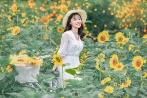 Bối Cảnh Với Hoa Hướng Dương