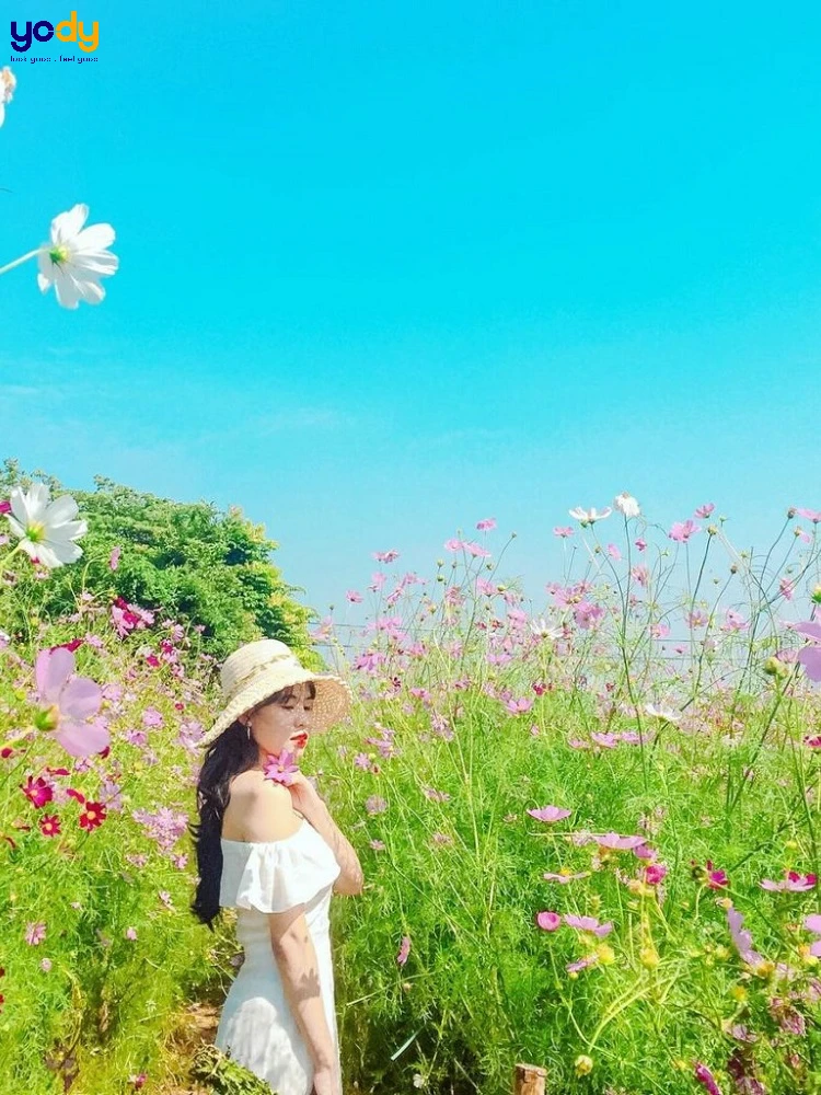 Chụp Ảnh Đẹp Ở Vườn Hoa