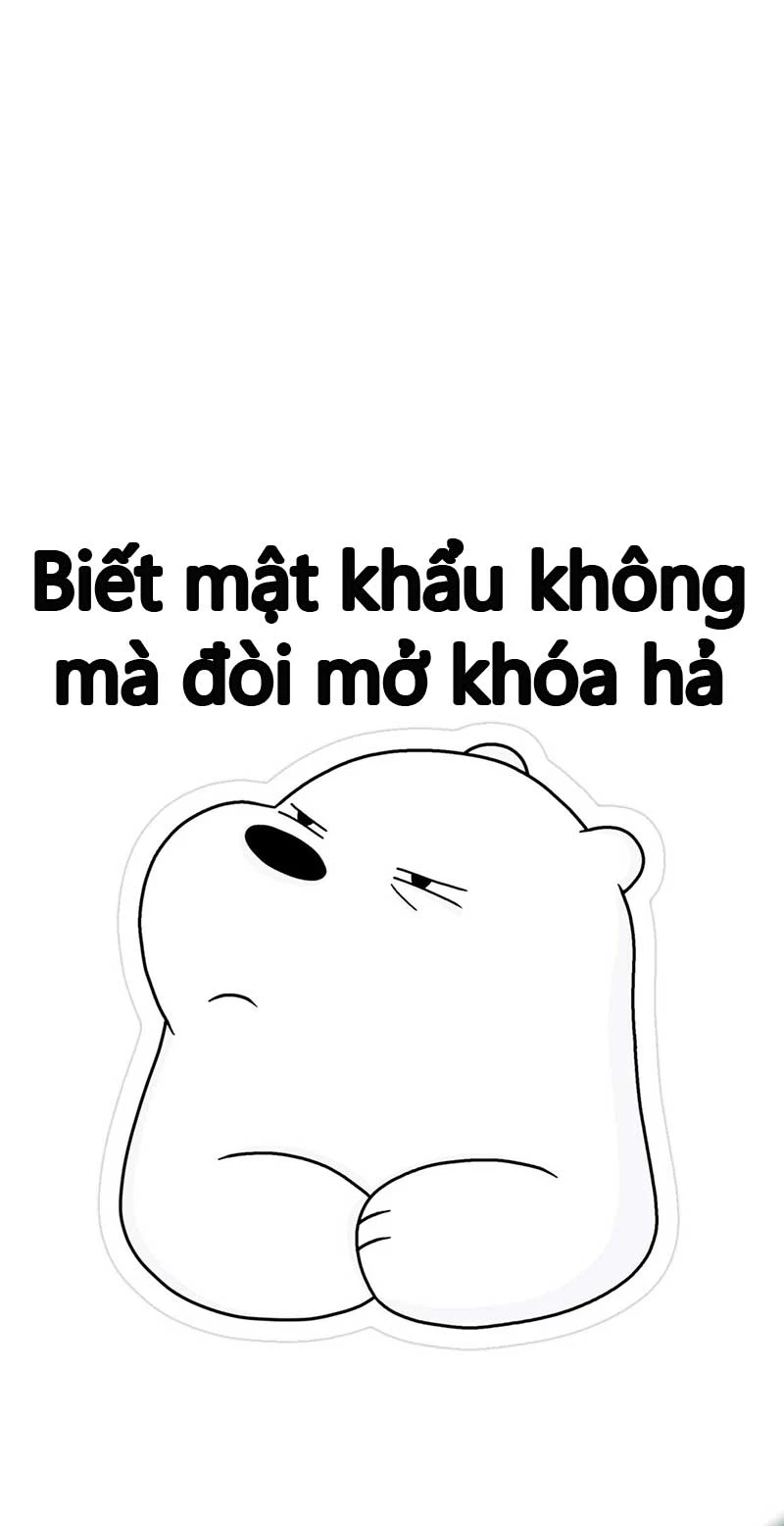 Hình Nền Meme Hài Hước