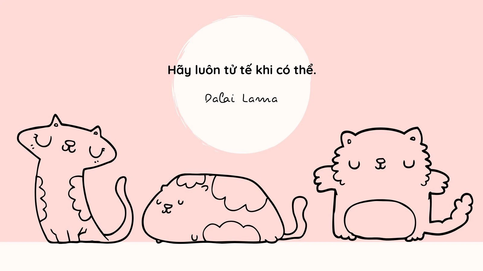 Hình nền mèo cute