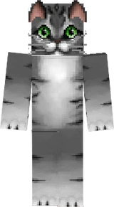 Da Mèo San