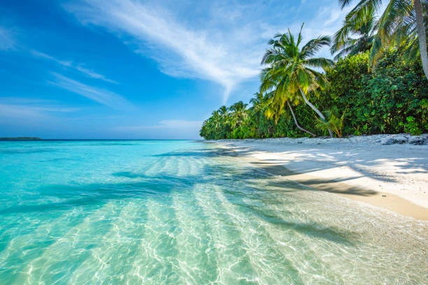 Đảo nhiệt đới Maldives