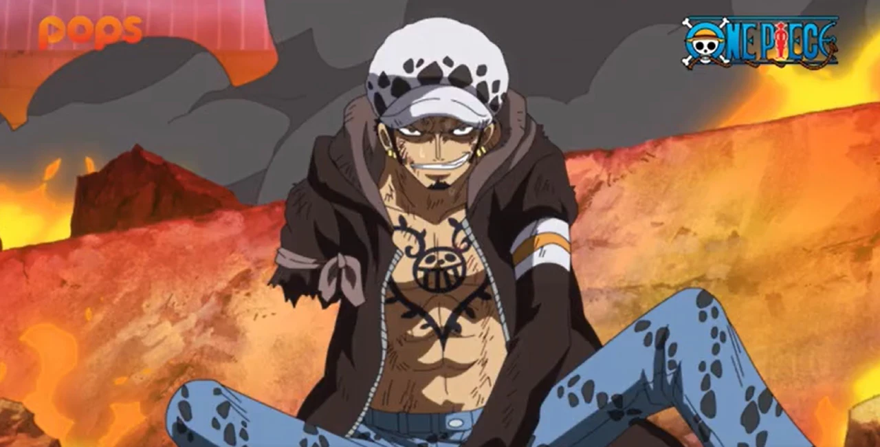 Trafalgar Law và Luffy