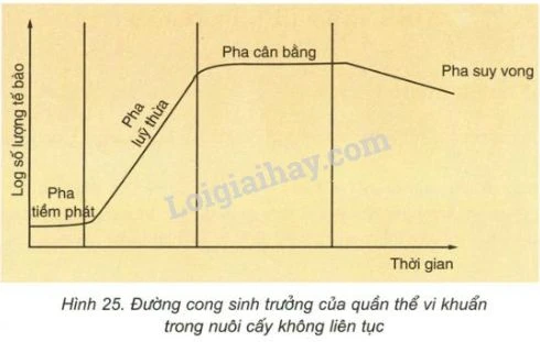 Nuôi cấy vi sinh vật