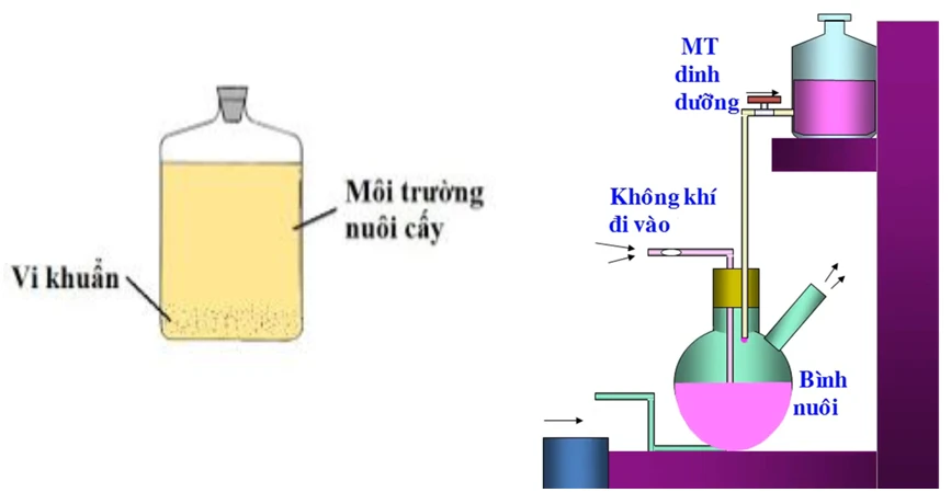 Cạn kiệt chất dinh dưỡng