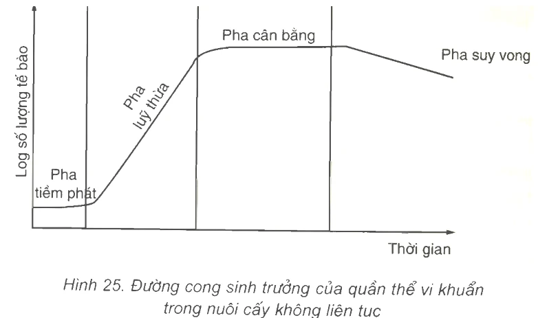 Thay đổi pH trong môi trường nuôi cấy