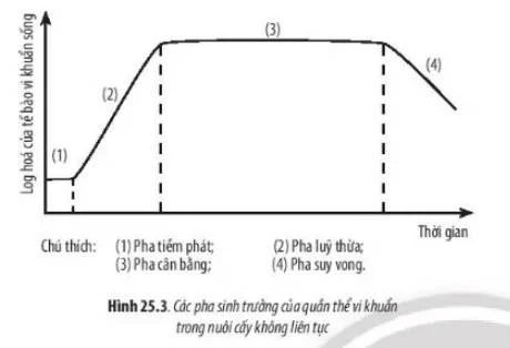 Quá trình nuôi cấy vi sinh vật