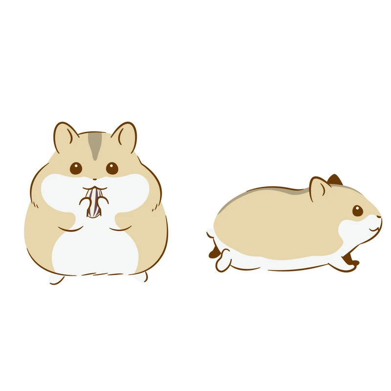 Chuột Hamster Cute 5
