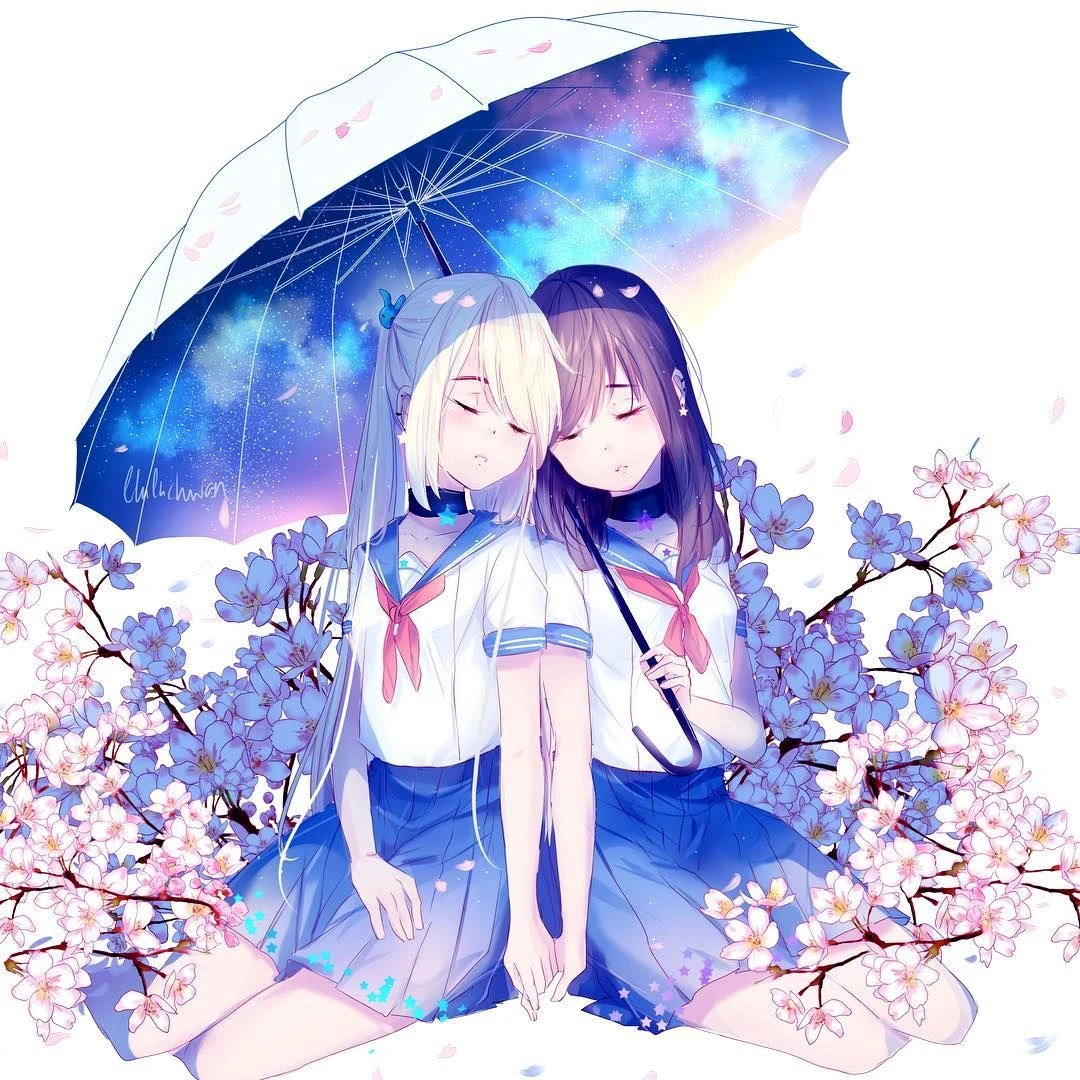 Hình ảnh 7
