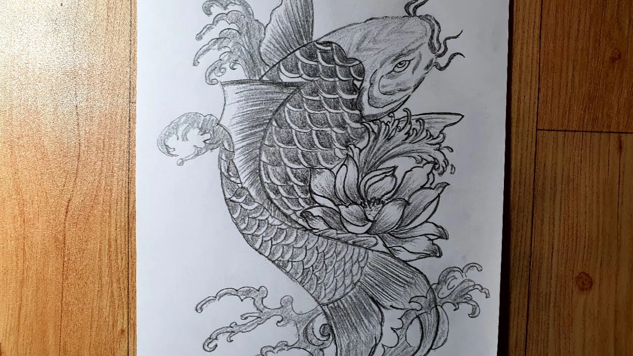 Phác họa hình dáng cơ bản của cá chép