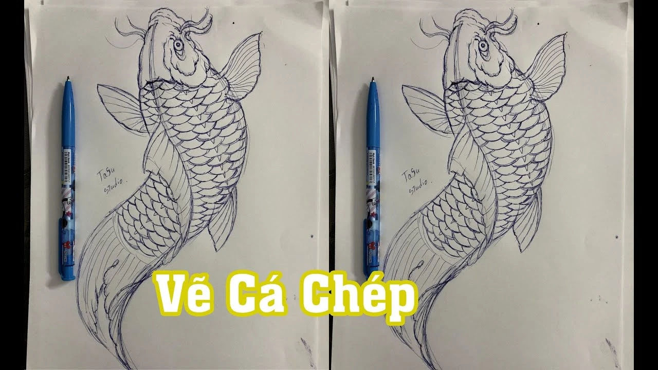 Hình ảnh cá chép đẹp