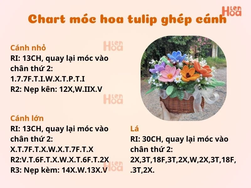 chart móc hoa tulip