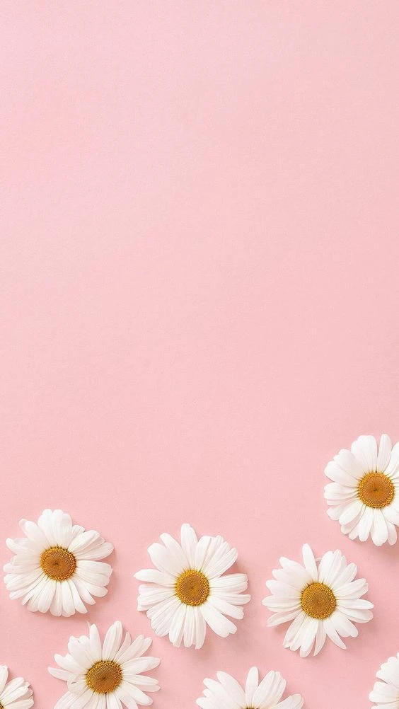 Hình nền màu hồng pastel dễ thương