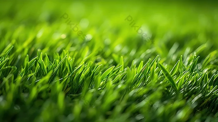 Nghệ thuật từ cỏ xanh