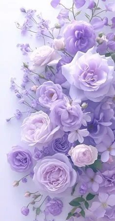 Hình nền màu tím quyến rũ