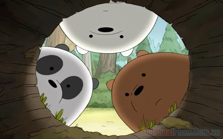 Hình ảnh Ice Bear