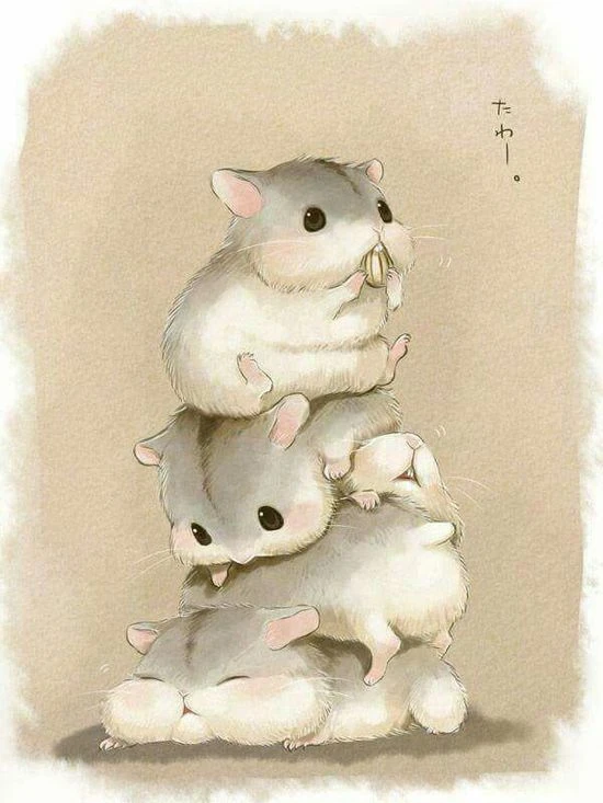 Hình ảnh đáng yêu về chuột
