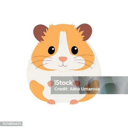 Hamster đang ăn