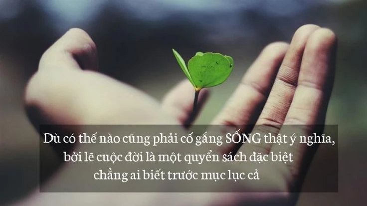 Hình ảnh ý nghĩa về cuộc sống