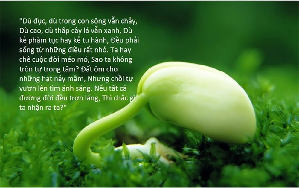 Hình ảnh thiên nhiên
